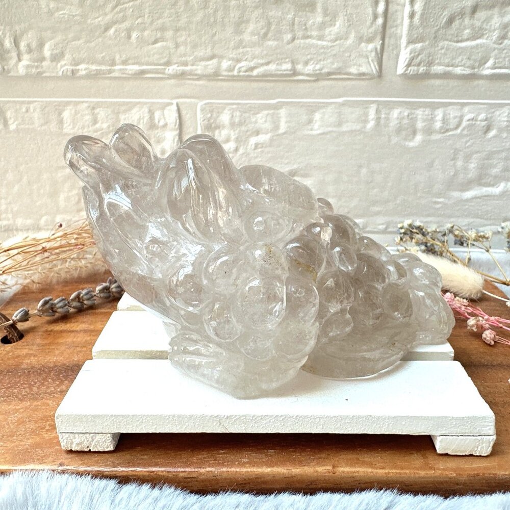 Gorgeous Lodalite Money Toad | Money Frog